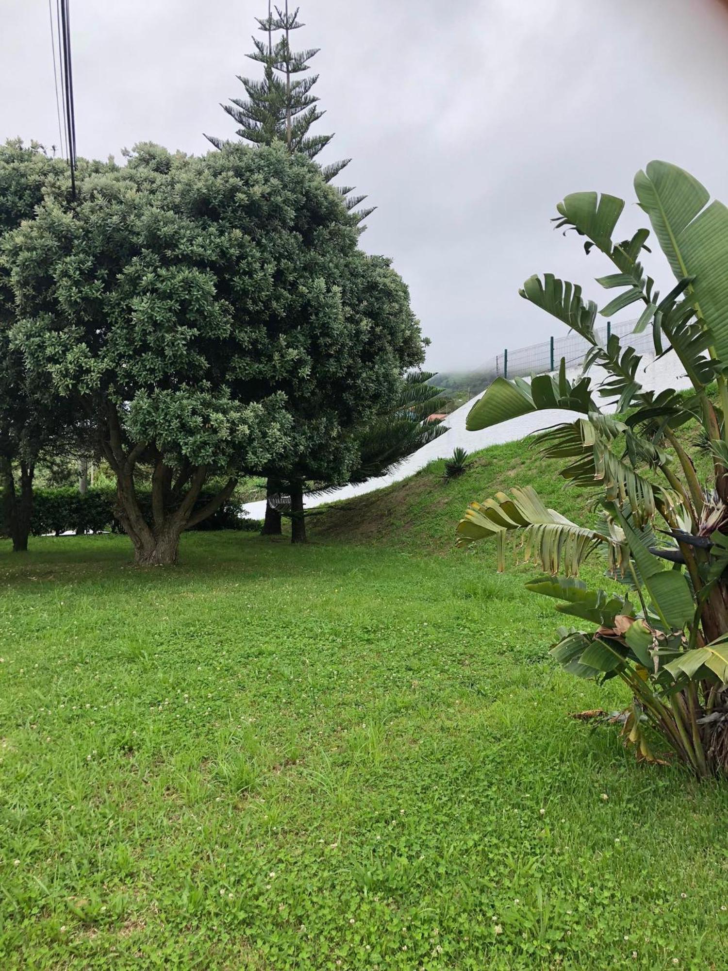 Vivenda Flor Ponta Delgada - Açores Exterior foto