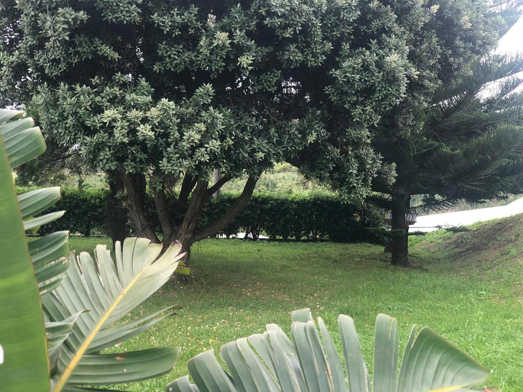 Vivenda Flor Ponta Delgada - Açores Exterior foto
