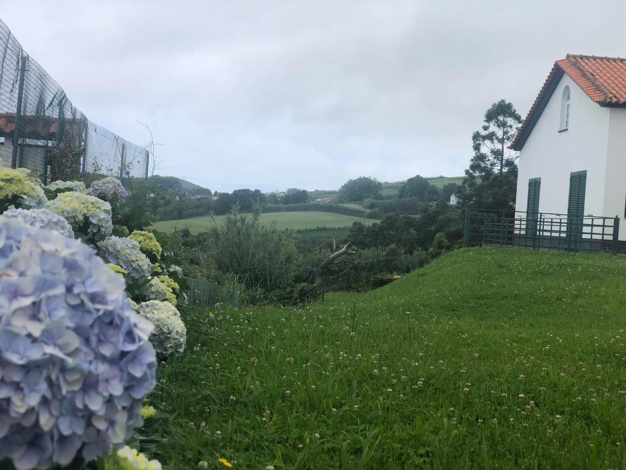 Vivenda Flor Ponta Delgada - Açores Exterior foto